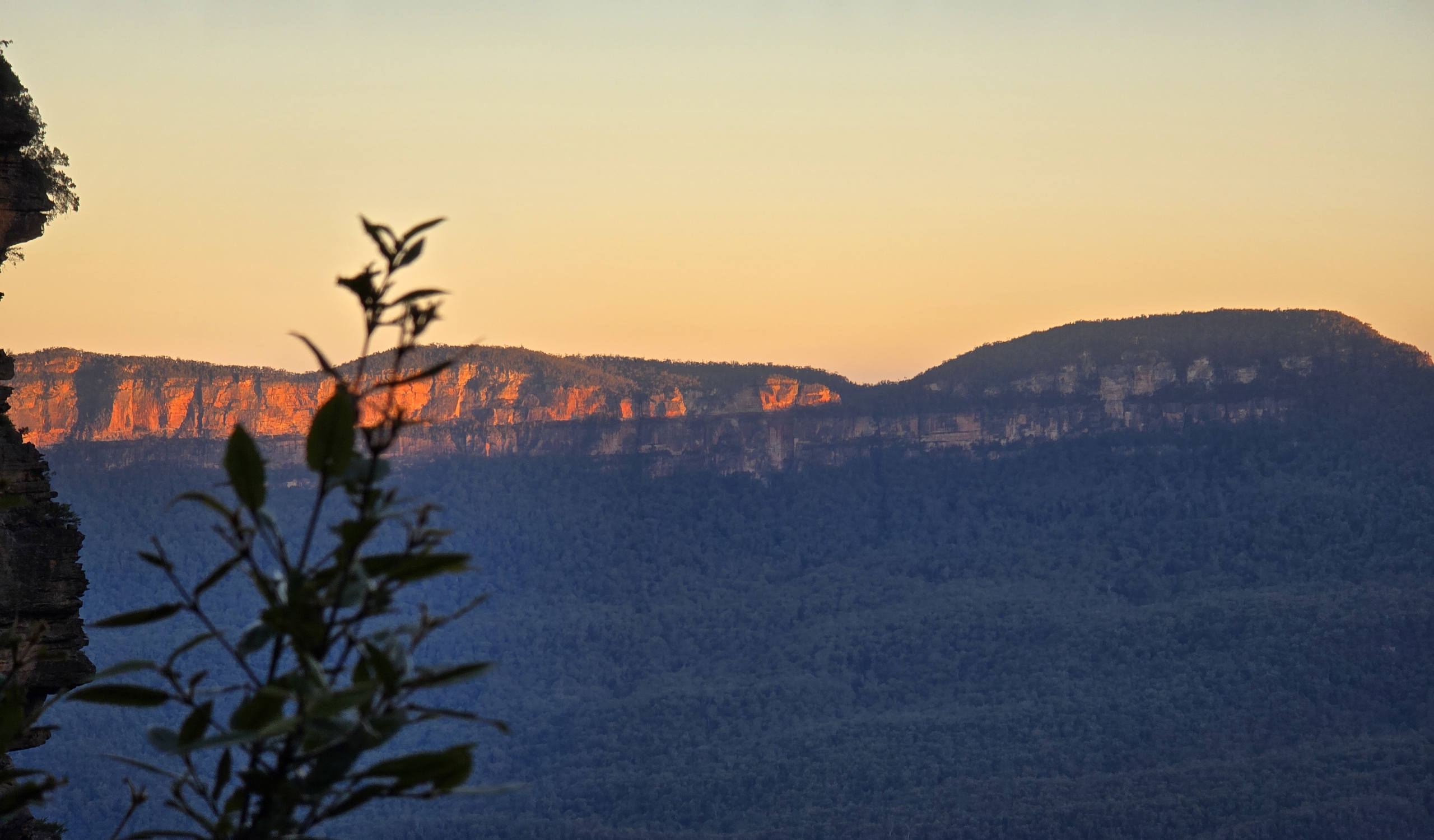 Profile Background Image